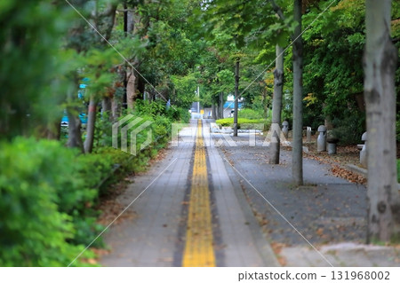 Image of a sidewalk with guiding blocks for visually impaired people 131968002