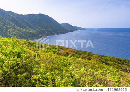 世界自然遺產屋久島西林道地區新綠與海 世界自然遺產屋久島西林道地區新綠與海 131968023