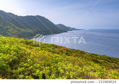 世界自然遺產屋久島西林道地區新綠與海 世界自然遺產屋久島西林道地區新綠與海 131968024