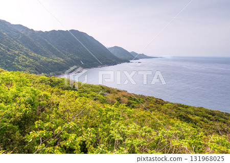 世界自然遺產屋久島西林道地區新綠與海 世界自然遺產屋久島西林道地區新綠與海 131968025