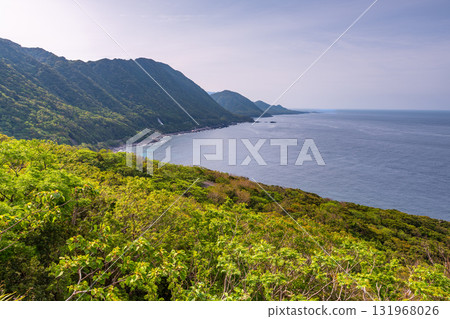 世界自然遺產屋久島西林道地區新綠與海 世界自然遺產屋久島西林道地區新綠與海 131968026