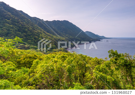 世界自然遺產屋久島西林道地區新綠與海 世界自然遺產屋久島西林道地區新綠與海 131968027