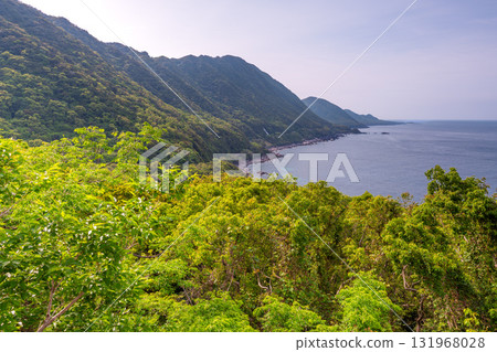 世界自然遺產屋久島西林道地區新綠與海 世界自然遺產屋久島西林道地區新綠與海 131968028