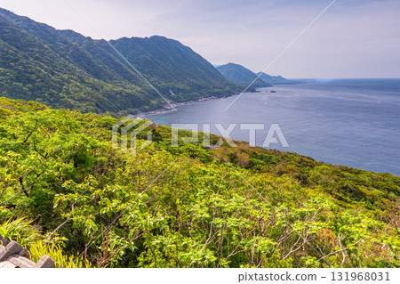 世界自然遺產屋久島西林道地區新綠與海 世界自然遺產屋久島西林道地區新綠與海 131968031