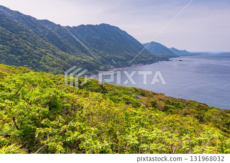 世界自然遺產屋久島西林道地區新綠與海 131968032