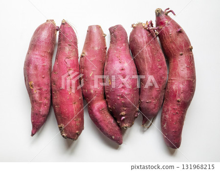 收穫的甘藷 131968215