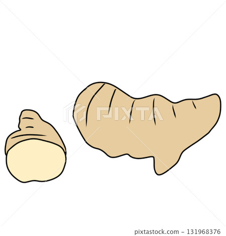 Ginger Spice Simple 131968376