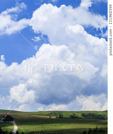 Refreshing blue sky and meadow Refreshing blue sky and meadow 131968394