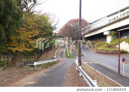 The north side of Akayama Castle ruins and the outer ring road in autumn (Kawaguchi City, Saitama Prefecture) The north side of Akayama Castle ruins and the outer ring road in autumn (Kawaguchi City, Saitama Prefecture) 131968439