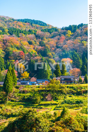 Country landscape in autumn Country landscape in autumn 131968495