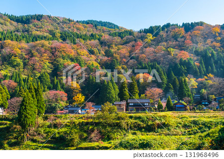 Country landscape in autumn Country landscape in autumn 131968496