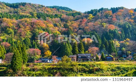 Country landscape in autumn Country landscape in autumn 131968497