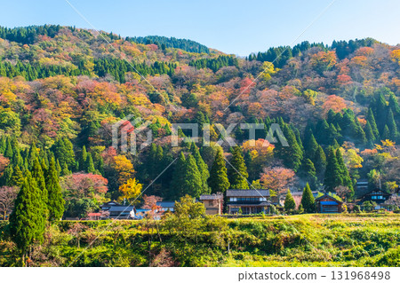 Country landscape in autumn Country landscape in autumn 131968498