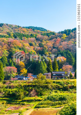 國家風景在秋天 131968501