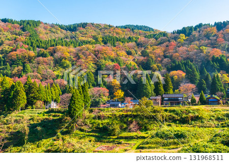 Country landscape in autumn 131968511