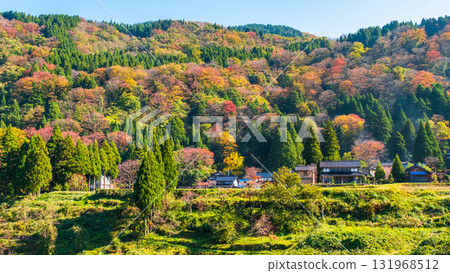 國家風景在秋天 131968512