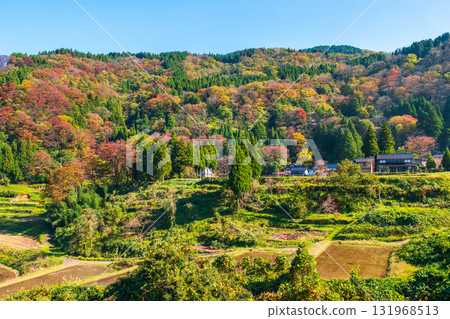 國家風景在秋天 131968513