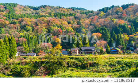 國家風景在秋天 131968517