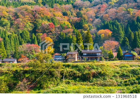 Country landscape in autumn 131968518
