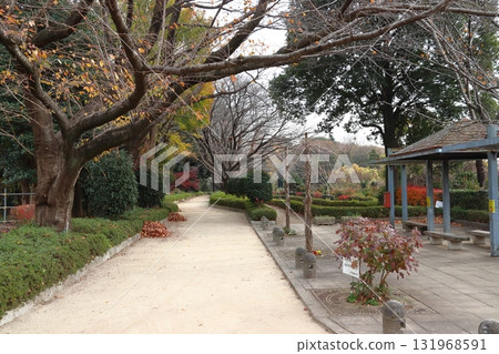 秋季的赤山城遺址：東南護城河東側（埼玉縣川口市） 131968591