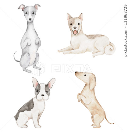 Watercolor dog set with isolated cute French Bulldog, Italian Greyhound, and Dachshund painted by hand in pastel tones. Great for cards, stickers, nursery prints, and textile designs. 131968729