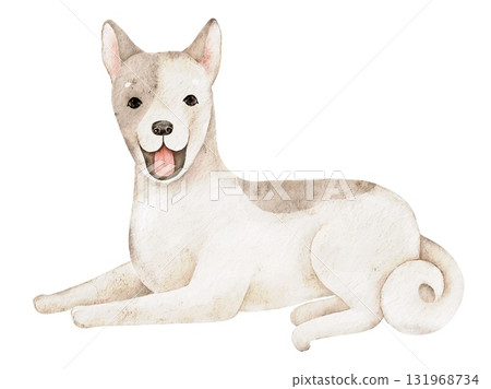 Hand painted watercolor husky dog in neutral tones with soft fur texture. Perfect for fabric printing, cards, posters, and pet inspired projects with cozy design 131968734