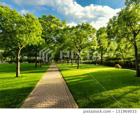 A park with a single road 131969033