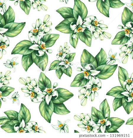 Pomelo citrus fruit seamless pattern on a white background, hand-drawn Pomelo citrus fruit seamless pattern on a white background, hand-drawn 131969151