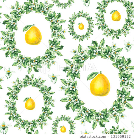 Pomelo citrus fruit seamless pattern on a white background, hand-drawn Pomelo citrus fruit seamless pattern on a white background, hand-drawn 131969152