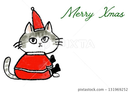 扮成聖誕老人的貓 131969252