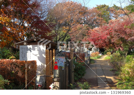 Autumn at Kozen-in Temple (Kawaguchi City, Saitama Prefecture) Autumn at Kozen-in Temple (Kawaguchi City, Saitama Prefecture) 131969360