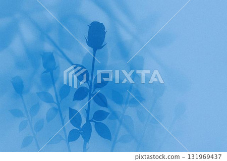Pale rose silhouette background - elegant and refined floral design material 131969437