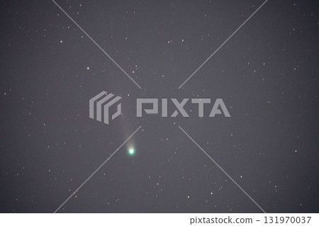Comet Lemmon 131970037