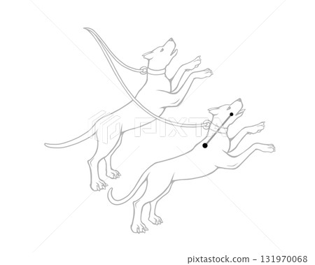 獵犬座單色線條畫 131970068
