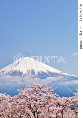 日本的春天富士和櫻花 131970116