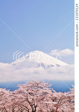 日本的春天富士和櫻花 131970124