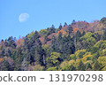 Autumn in Hokkaido - Autumn leaves and the moon in a mixed forest, recommended for wallpapers and backgrounds 131970298