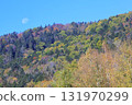 Autumn in Hokkaido - Autumn leaves and the moon in a mixed forest, recommended for wallpapers and backgrounds 131970299