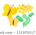 油菜花和黃蝴蝶的簡單水彩插圖 131970317