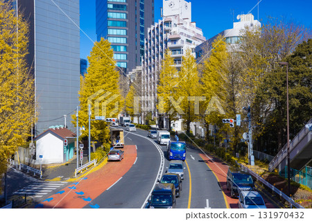 明治大道兩旁的黃色銀杏樹[秋天的景象] 131970432