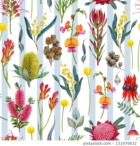 Australia native flowers seamless pattern on striped background. Hand drawn vintage style watercolor Australian flora elements. Waratah, golden wattle, grevillea, banksia, gum tree leaves pattern 131970632