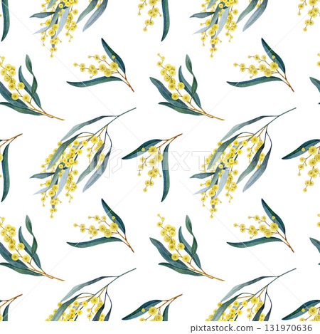 Golden wattle acacia flowers on white background seamless pattern. Australia native floral element watercolor painted illustration. Acacia pycnantha yellow flowers seamless pattern decorative element Golden wattle acacia flowers on white background seamless pattern. Australia native floral element watercolor painted illustration. Acacia pycnantha yellow flowers seamless pattern decorative element 131970636
