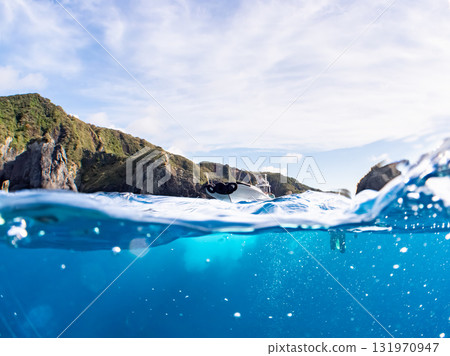 渡輪“Hirizohama”的半水面照片，船長和潛水員在船上。靜岡縣伊豆半島南伊豆町中木町“Hirizohama”。 131970947