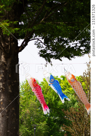 Carp streamers hanging from a tree 131971326