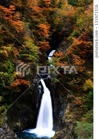 Waterfall which turns into autumn leaves Waterfall which turns into autumn leaves 131971516
