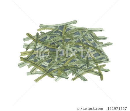 水彩畫的乾燥迷迭香 水彩畫的乾燥迷迭香 131971537