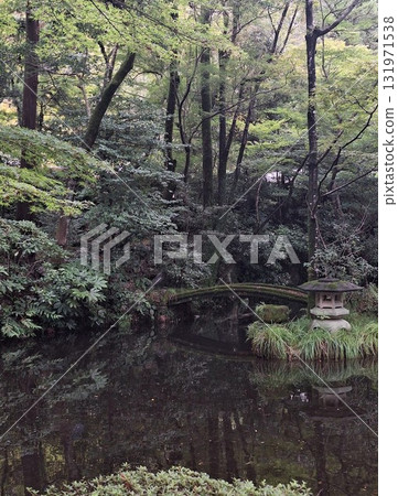 Landscape with green 131971538