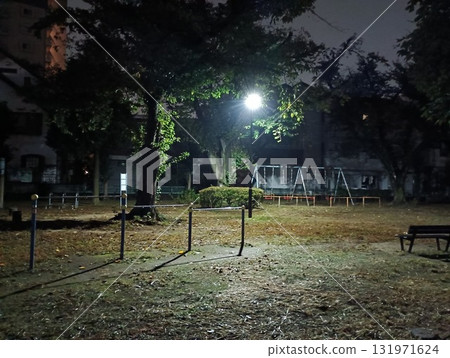 只有光明才知道的夜晚 只有光明才知道的夜晚 131971624