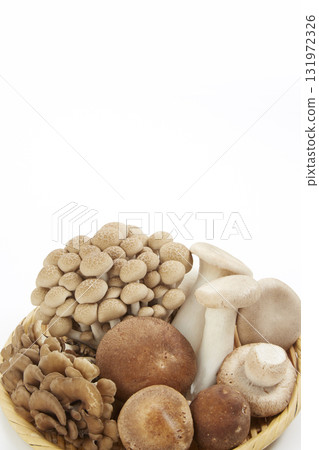 Various mushrooms in a colander on a white background 131972326