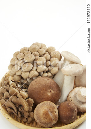 Various mushrooms in a colander on a white background 131972330
